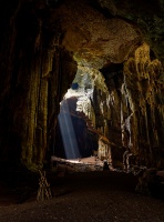 Borneo - Gomantong Cave o1066